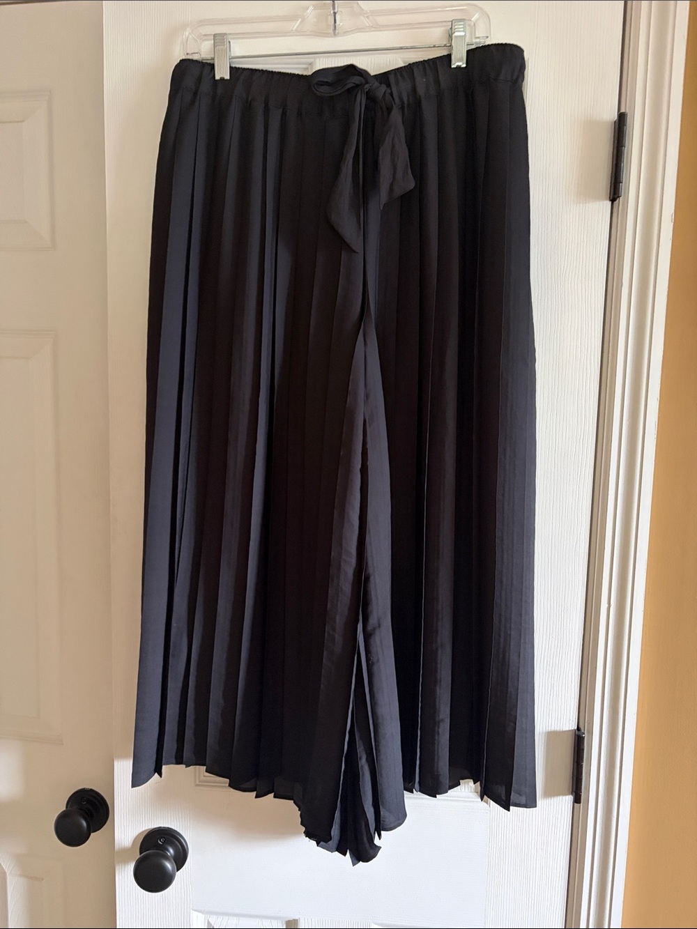 Anthropologie Black Wide-Leg Pleated Pants with Tie Waist